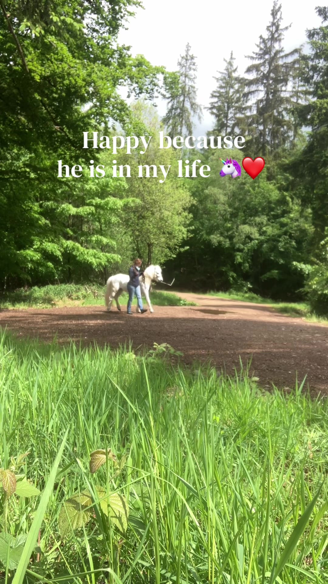 @Good Way Horses
