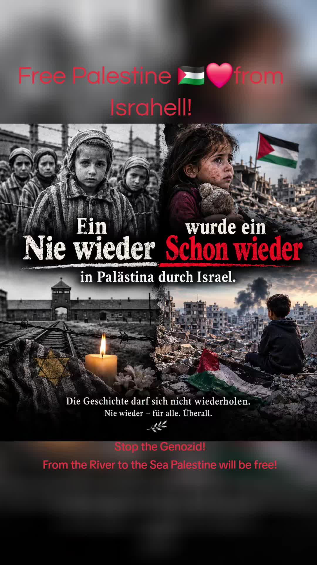 @🇵🇸❤️Anette❤️🇵🇸