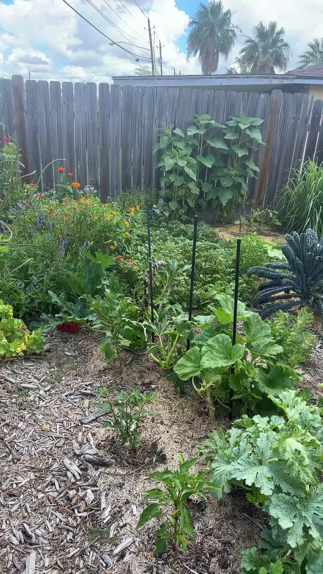 @themagicvalleygardener