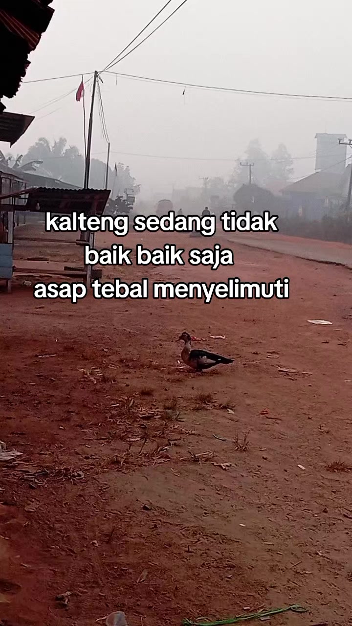 @❤️🔥BAKSO NDABLEX ❤🔥