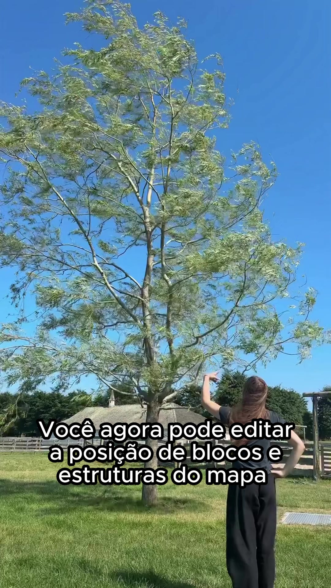 @Terra Updates Oficial
