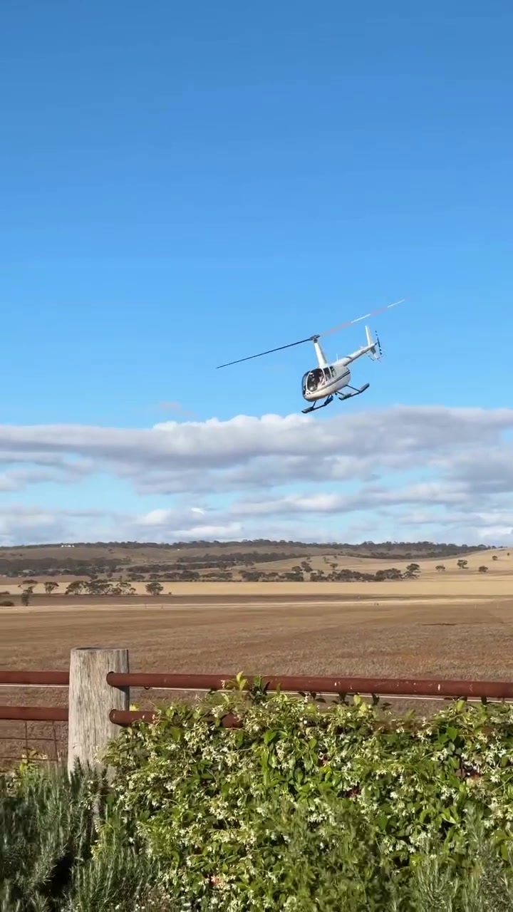 @South Australian Helicopters