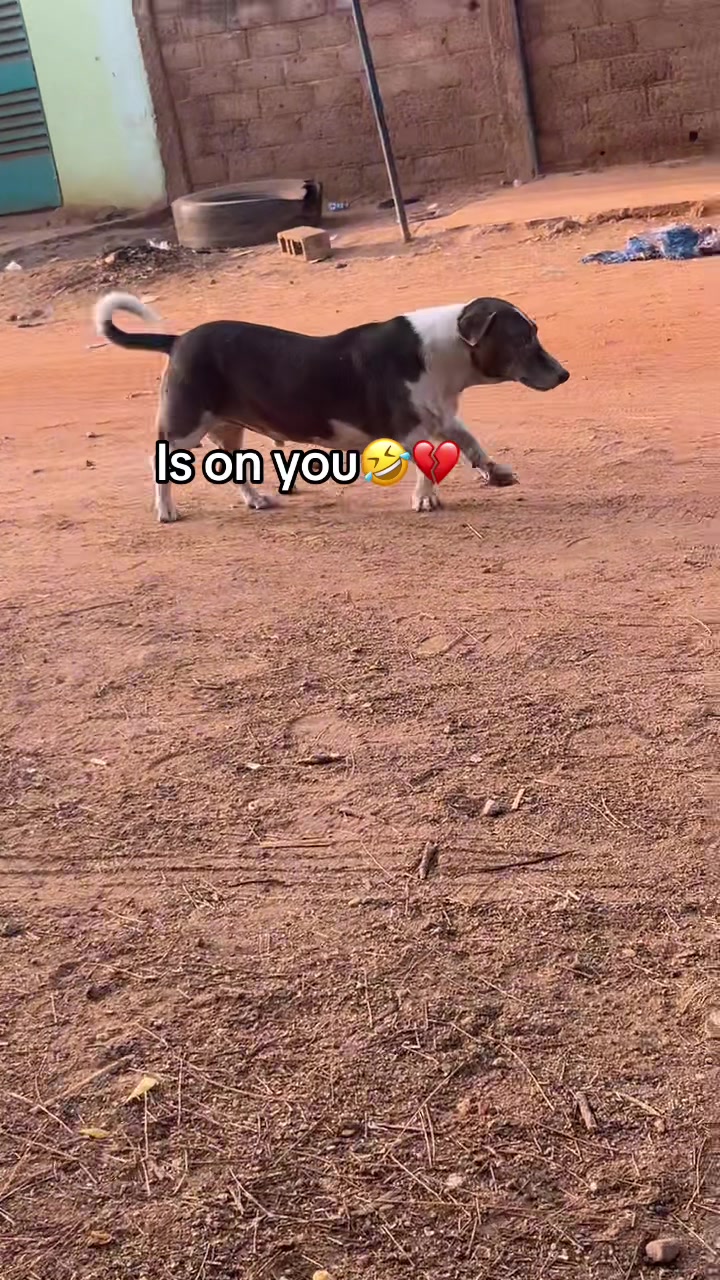 @two.sisters_shugah