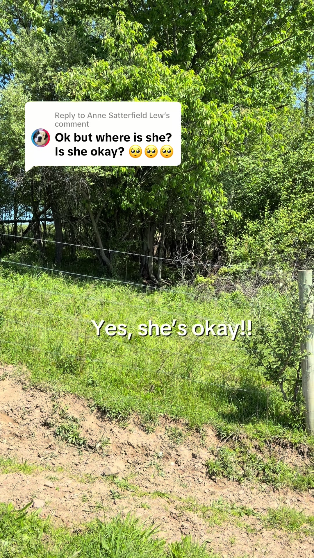 @Strong Family Farms