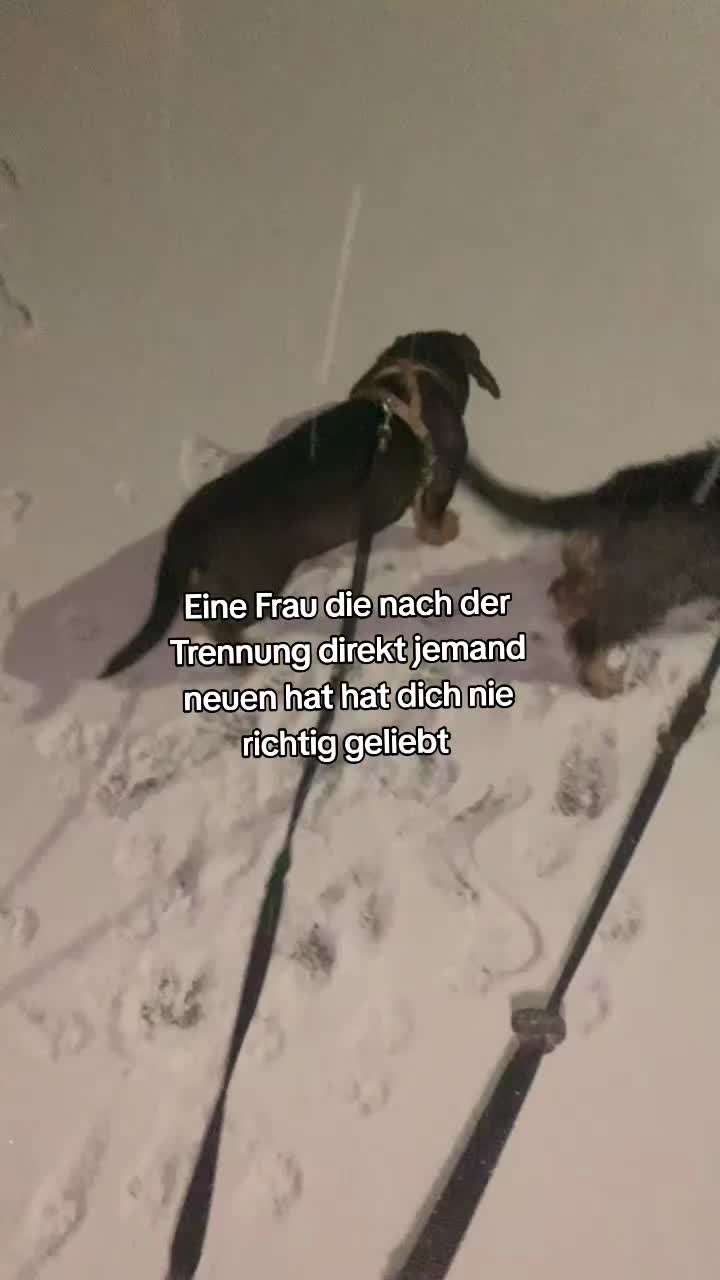 @🥷
