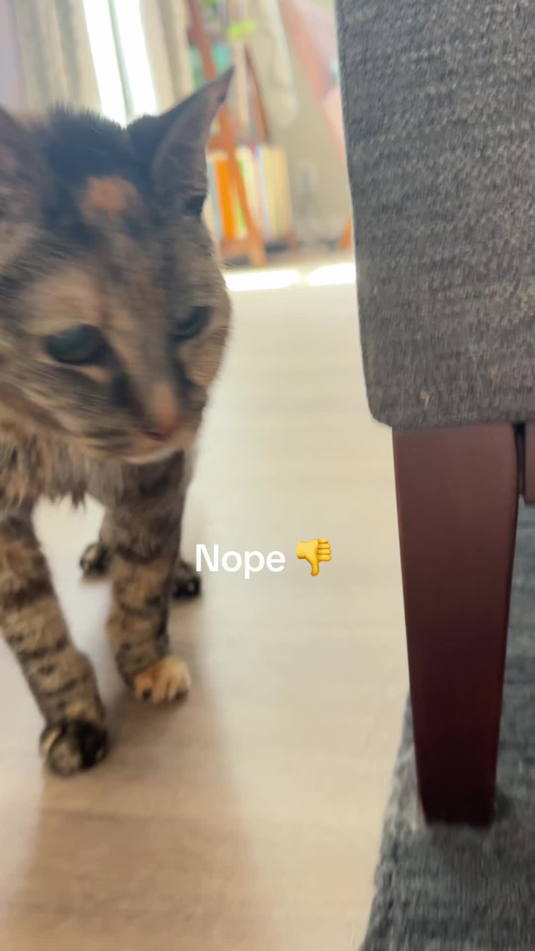 @and Luna 🐺