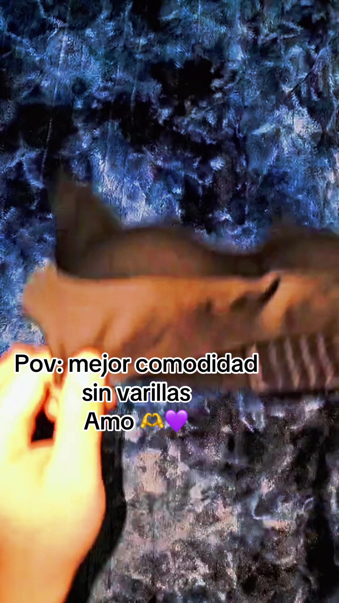 @Marl&eacute;n Barraza🐚🐉💫