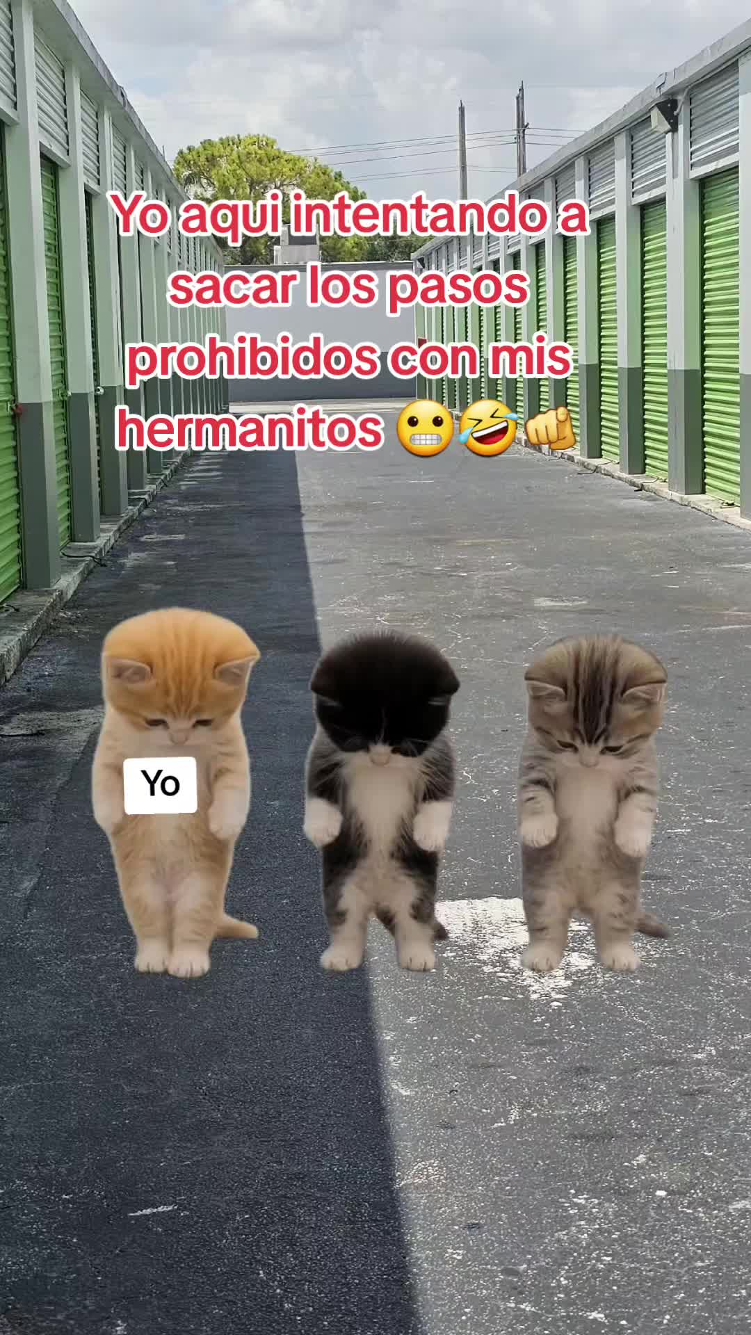 @Gabrielito 502