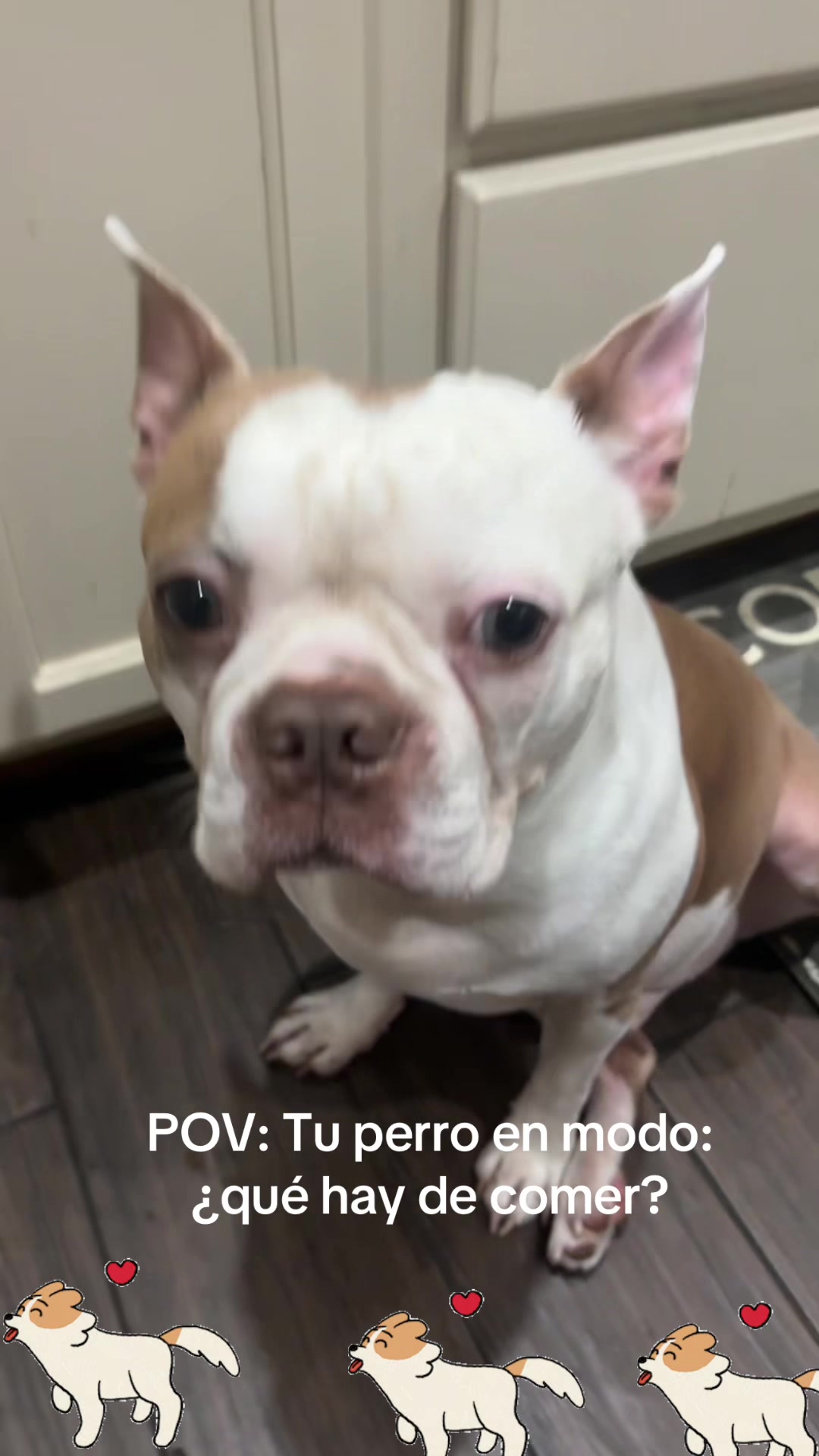 @los3huevertos