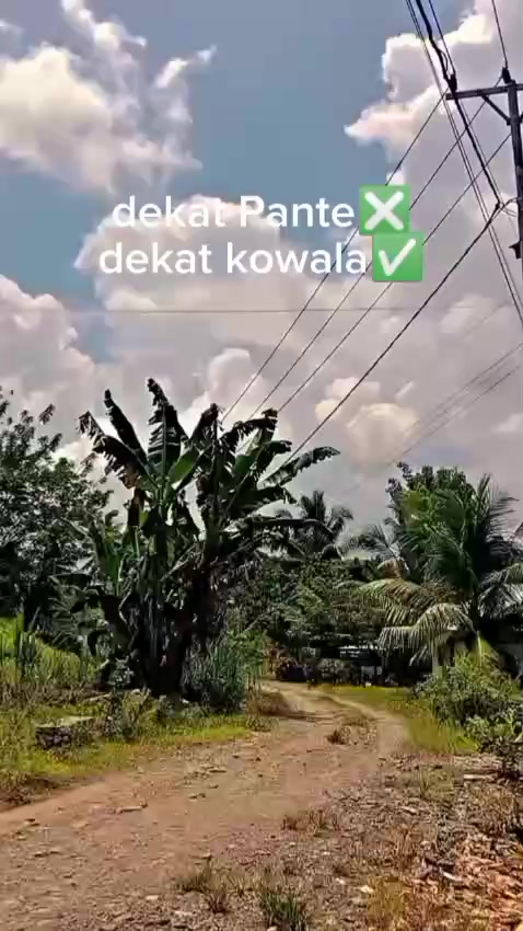 @ig_safani mohamad