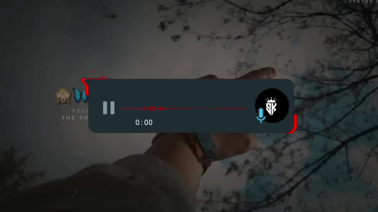 @༺ 𒆜𝐒𝐊𝐗𝐌𝐔𝐒𝐈𝐂𒆜 ༻