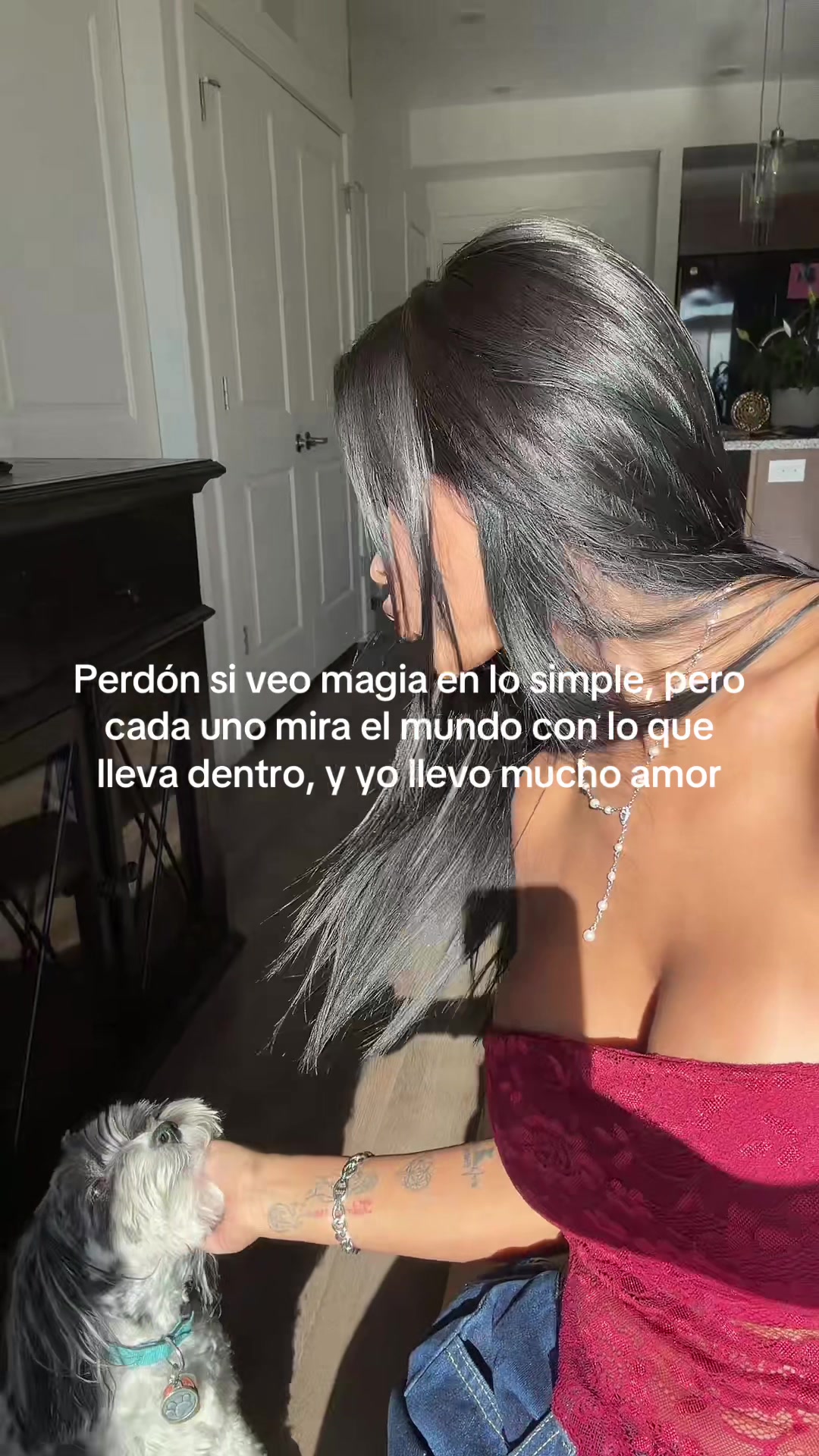 @Cataluxgm