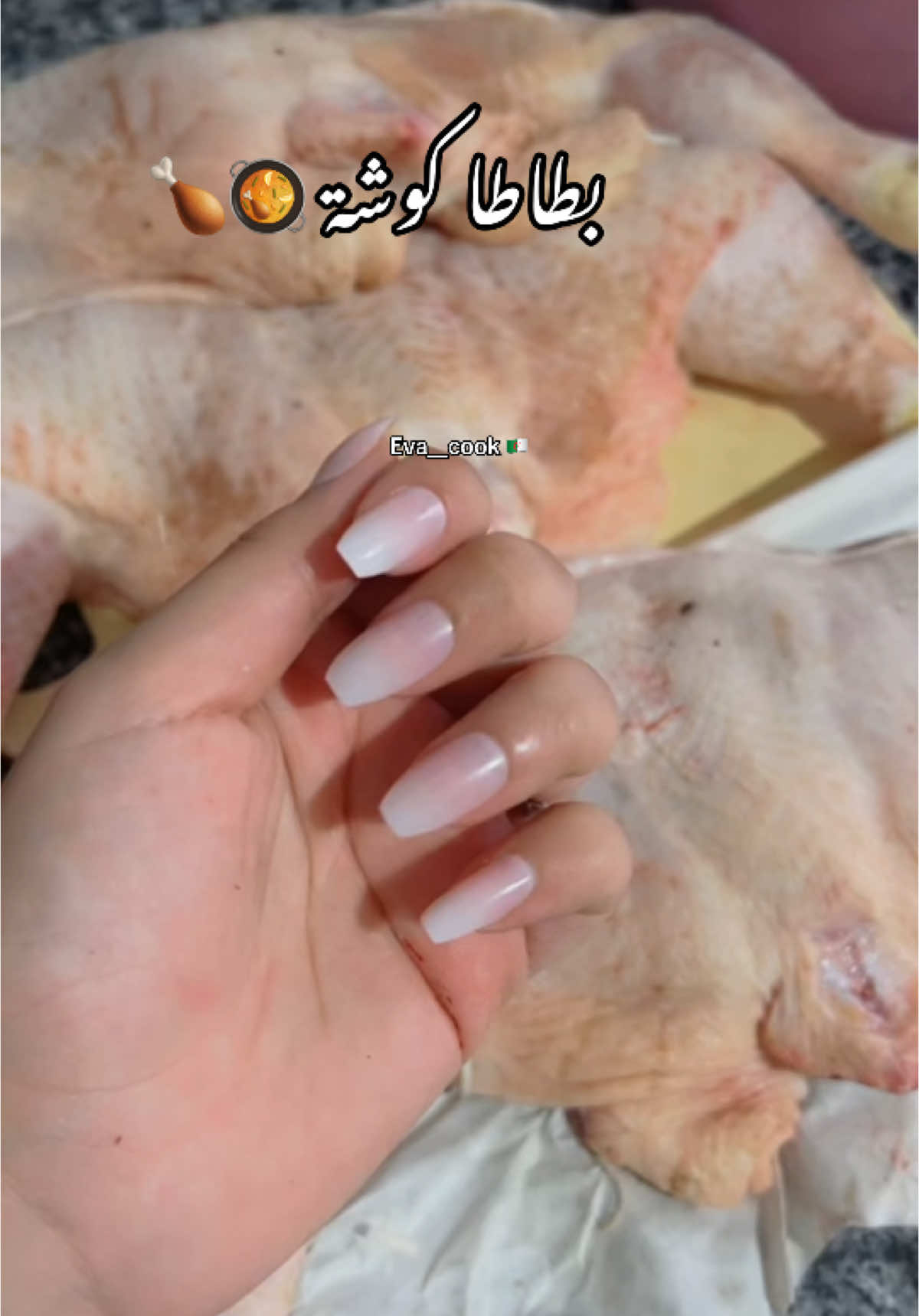 @Eva Cook