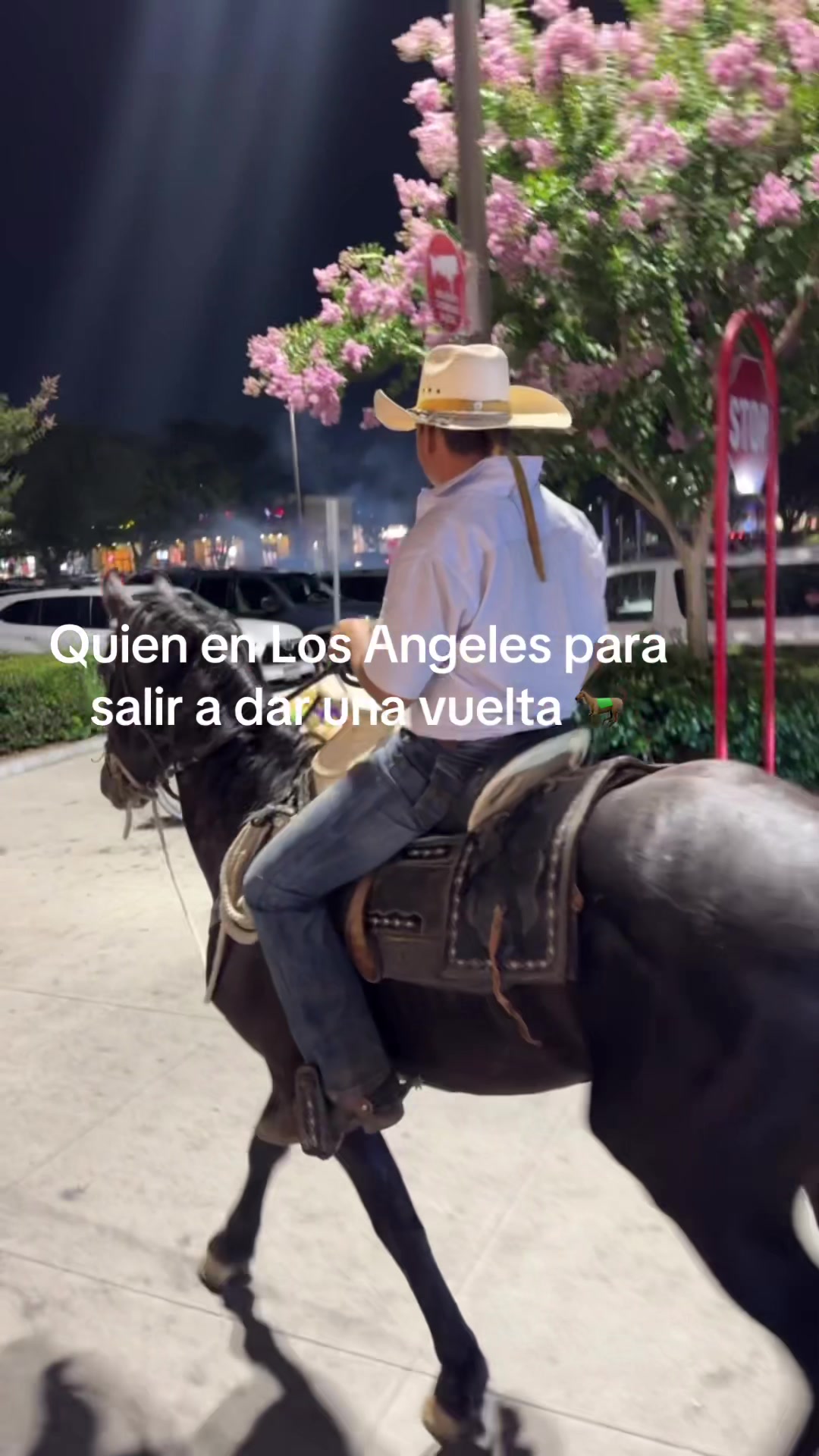 @lgd_323 🇲🇽