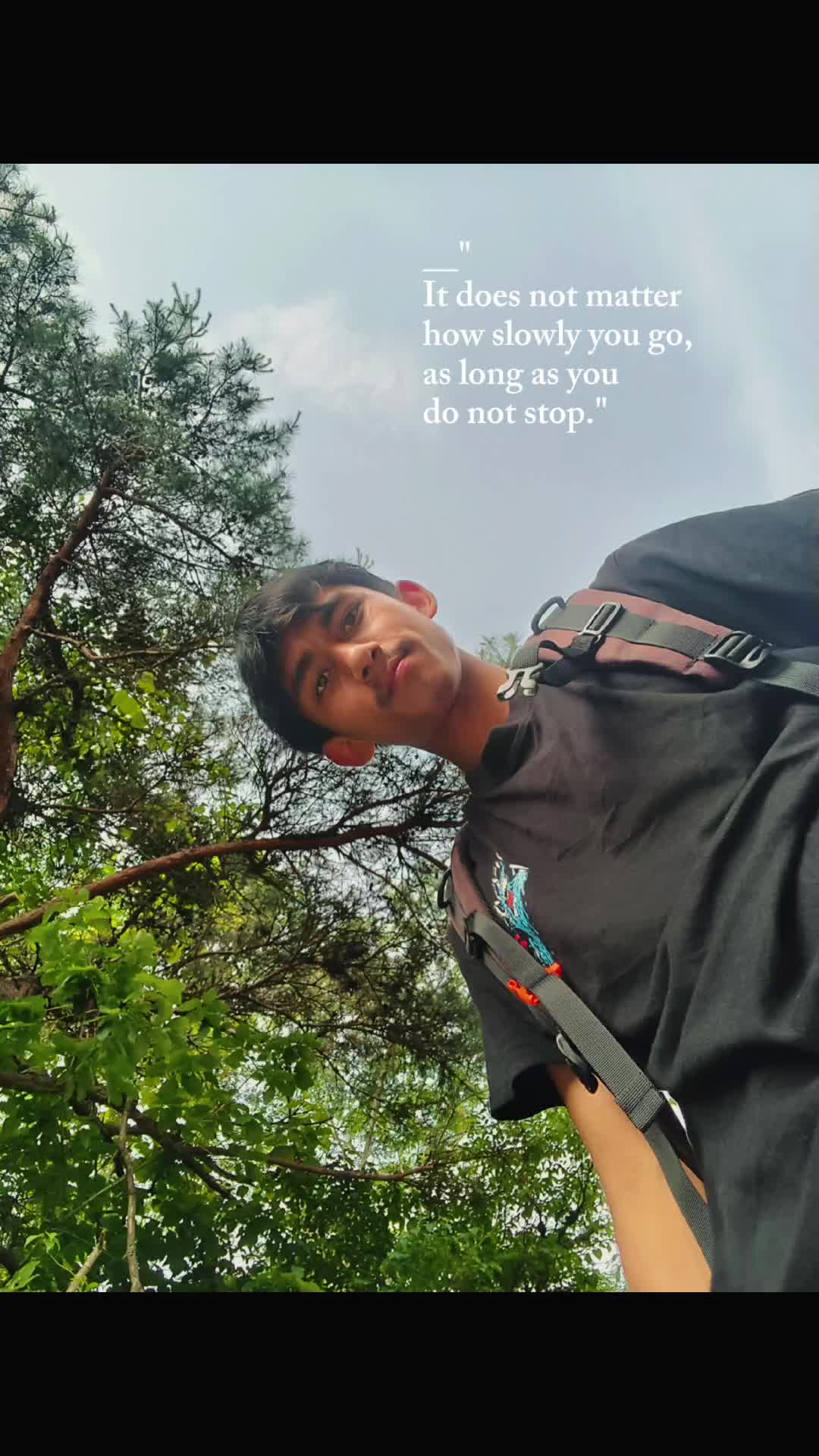 @Saf-rex🦖