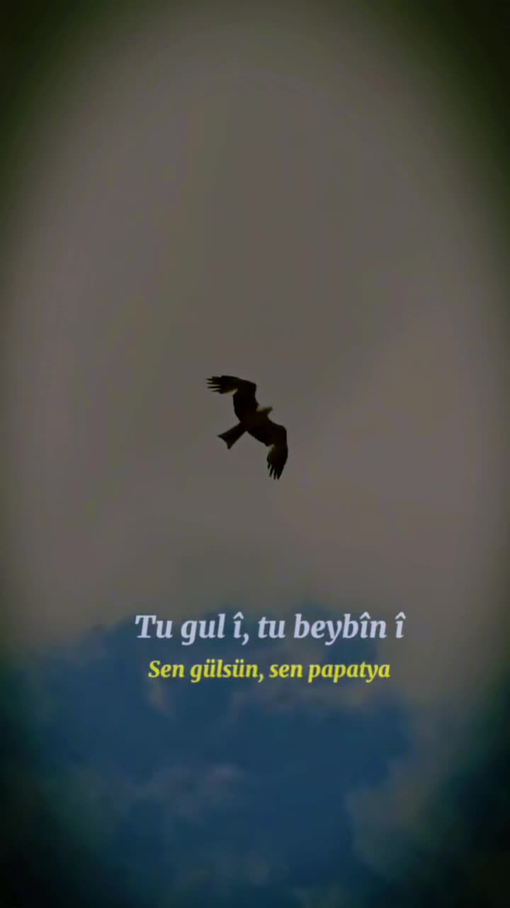 @Mahsum Yılmaz 73
