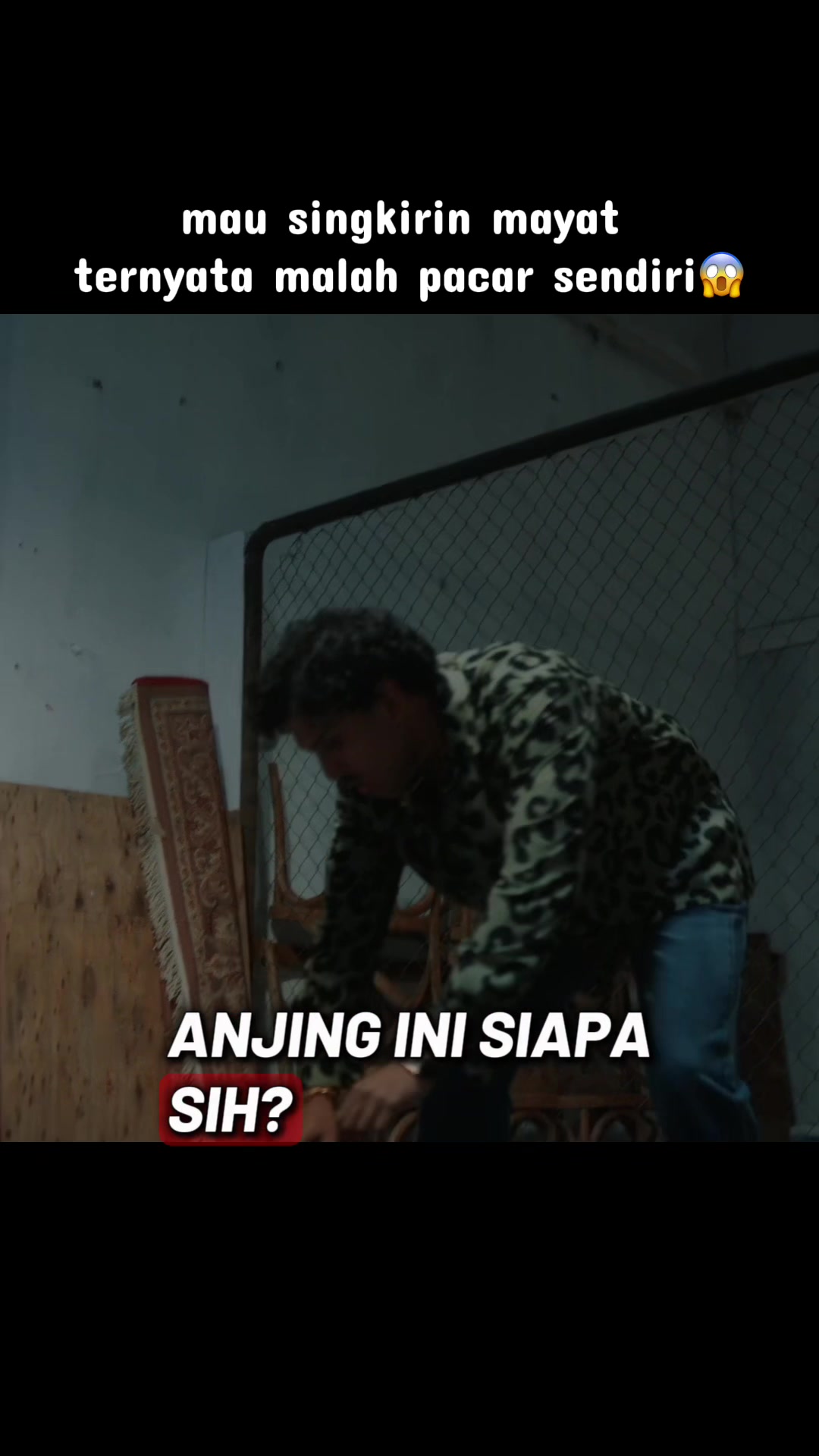 @lulup