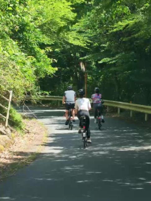 @Brompton Experiences