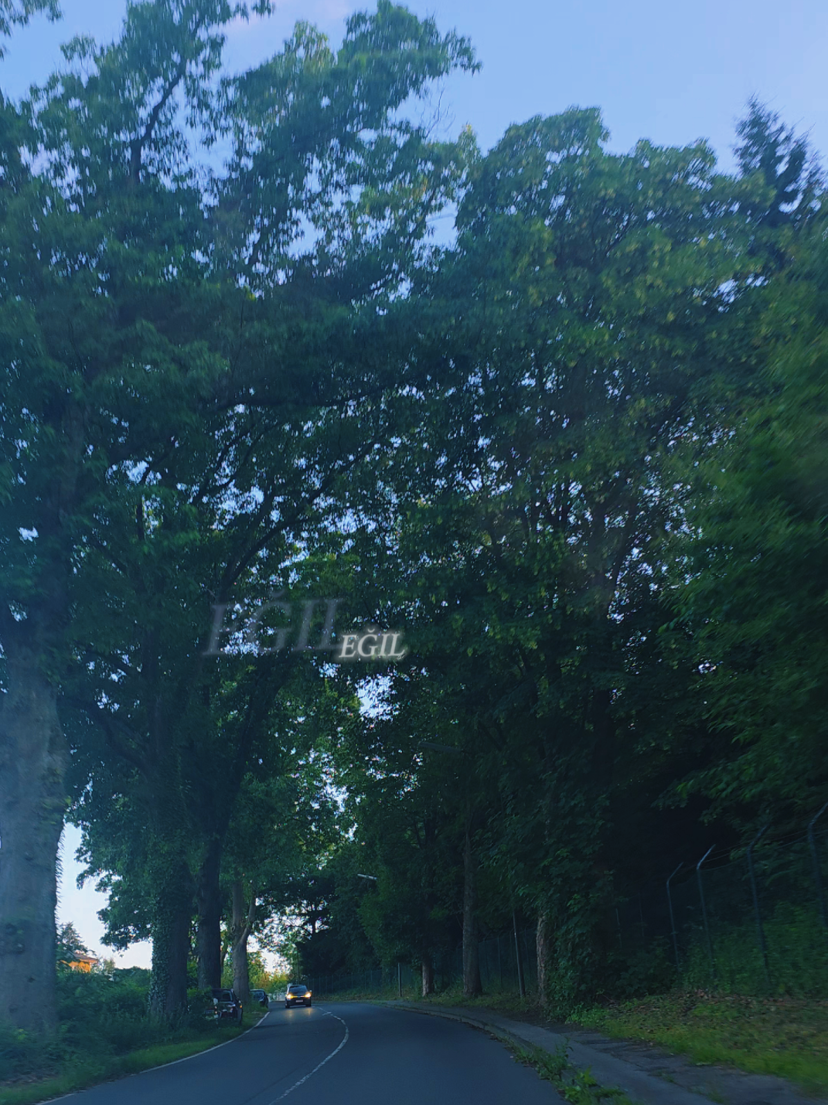 @Evîn