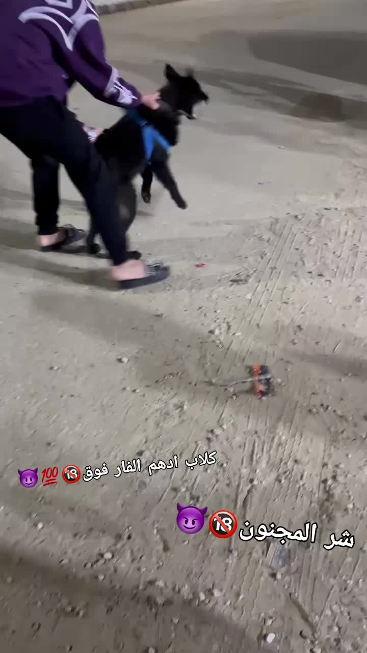 @حَـمـو~نـهـضـ🦁ــه🙅🏽🔥•”