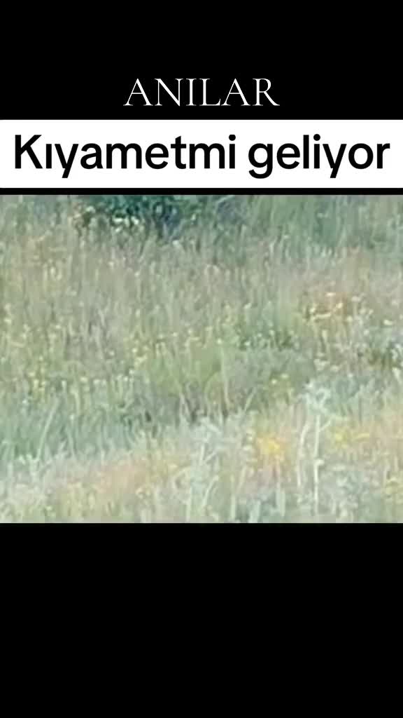 @Buglemin-DÜNYASI