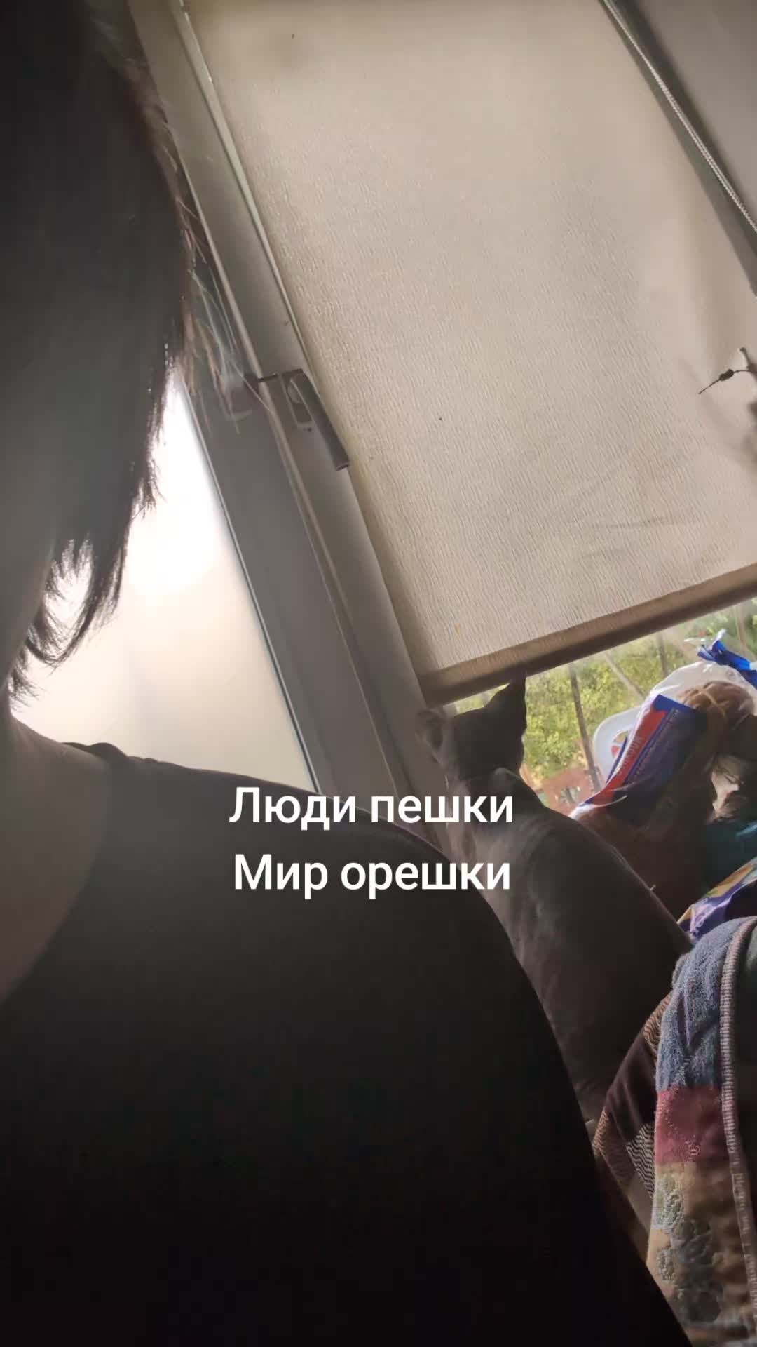 @Тим💤
