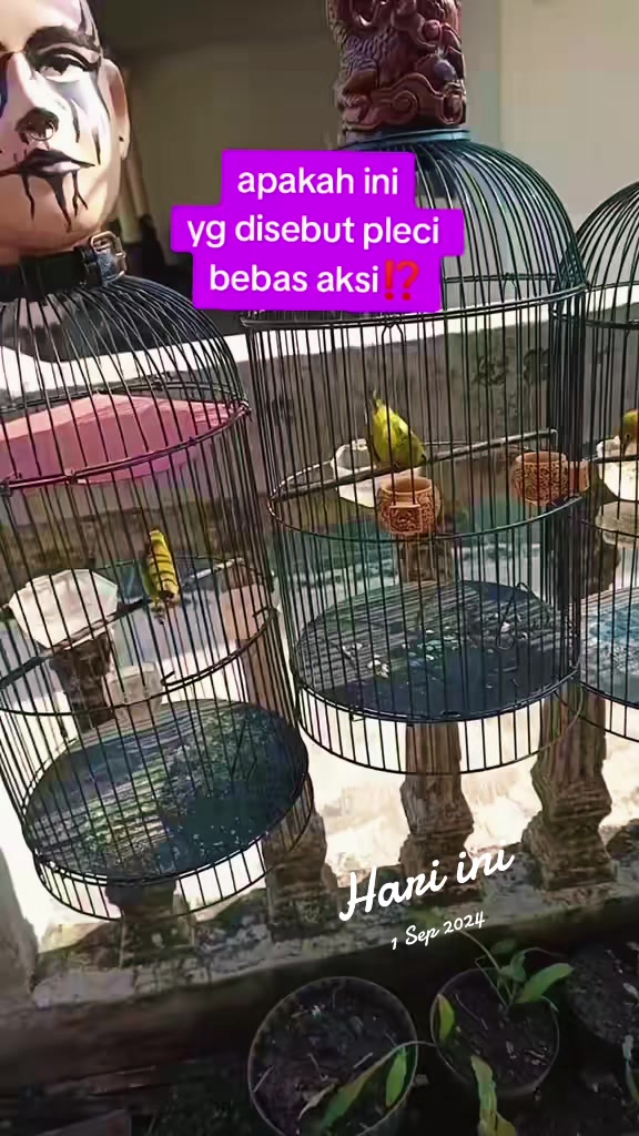 @totalbukpar