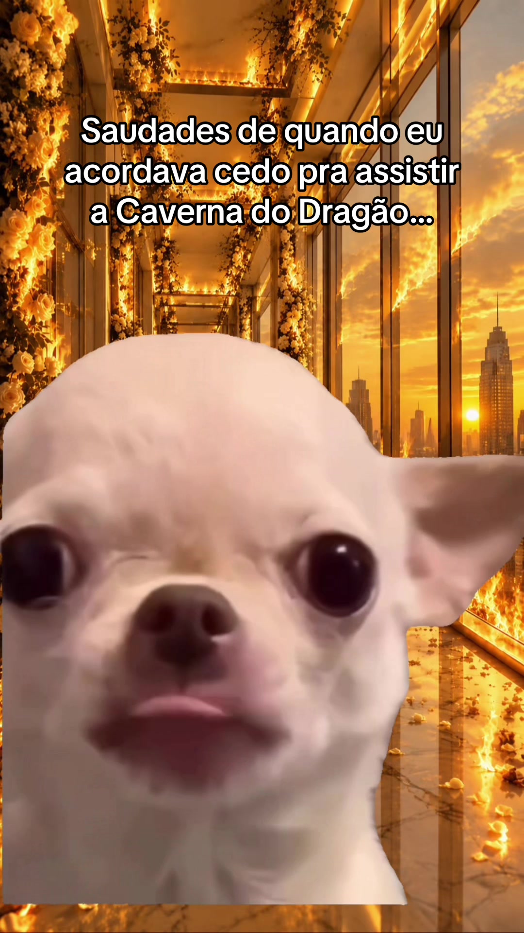 @tababadeira