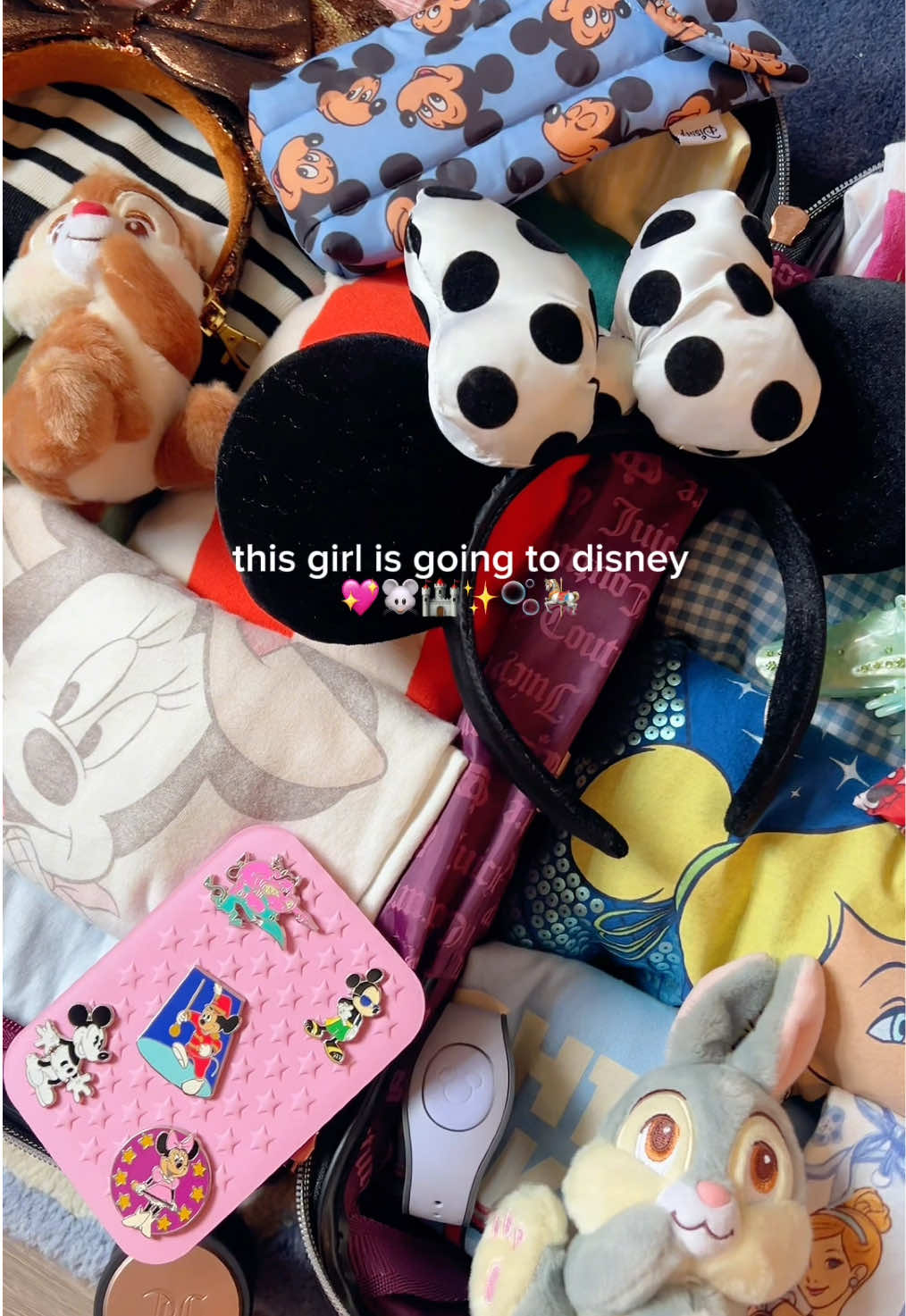 @✧∘* erika ⋆｡˚.