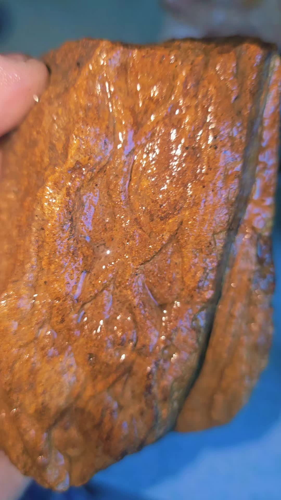 @quinncstewart