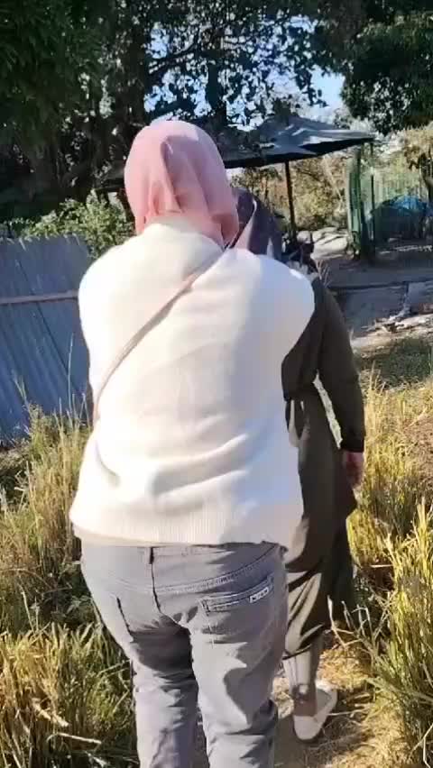 @sekarr
