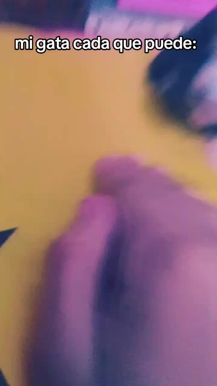 @𖦹 ׂ 𓈒 🌈 ／ ⋆ ۪