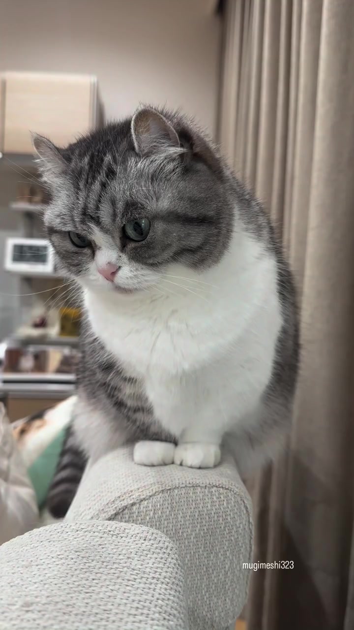 @KomaruSalt_AB