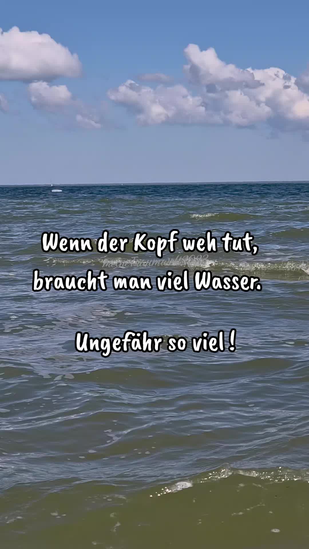 @meineTraumwelt2023