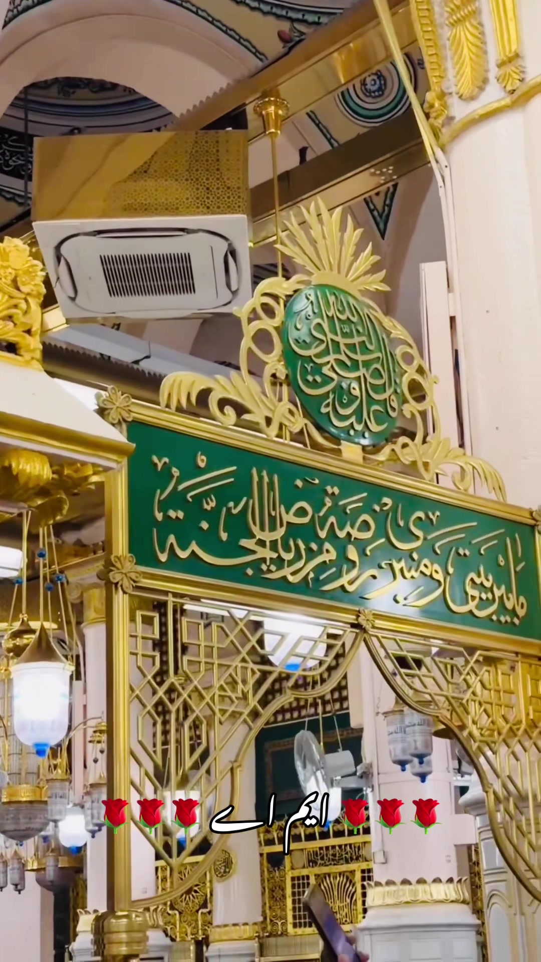@محبوب عالم
