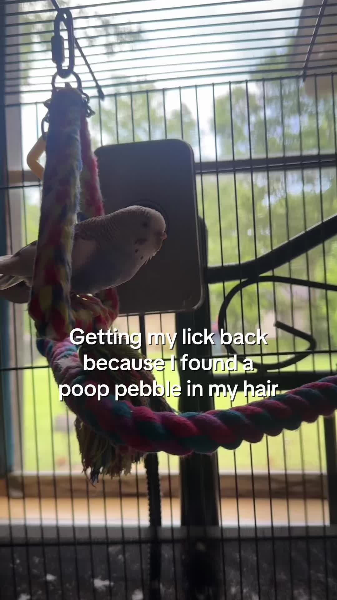 @alexia