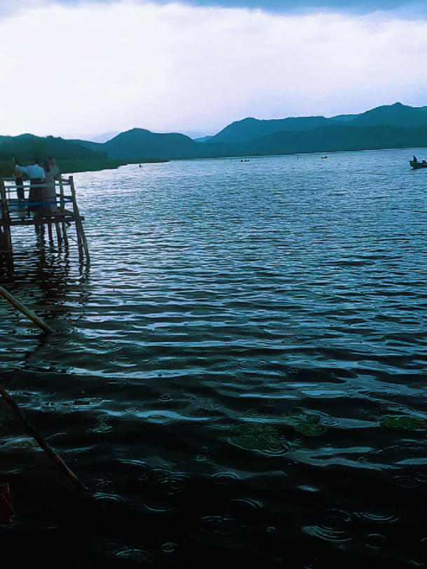 @Tiny Howe (zarni ko)