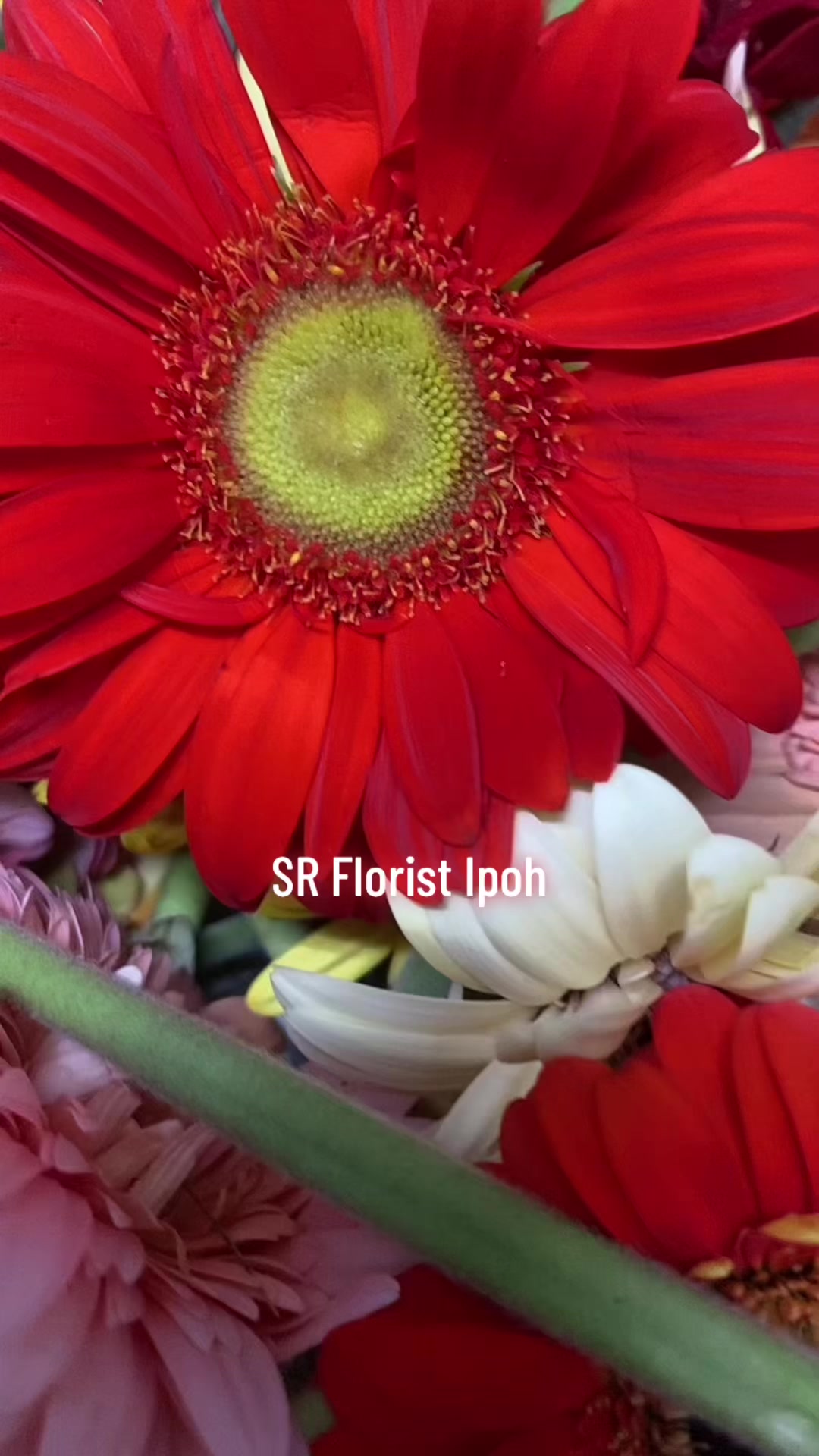 @🇮🇳SR Florist Ipoh🇲🇾