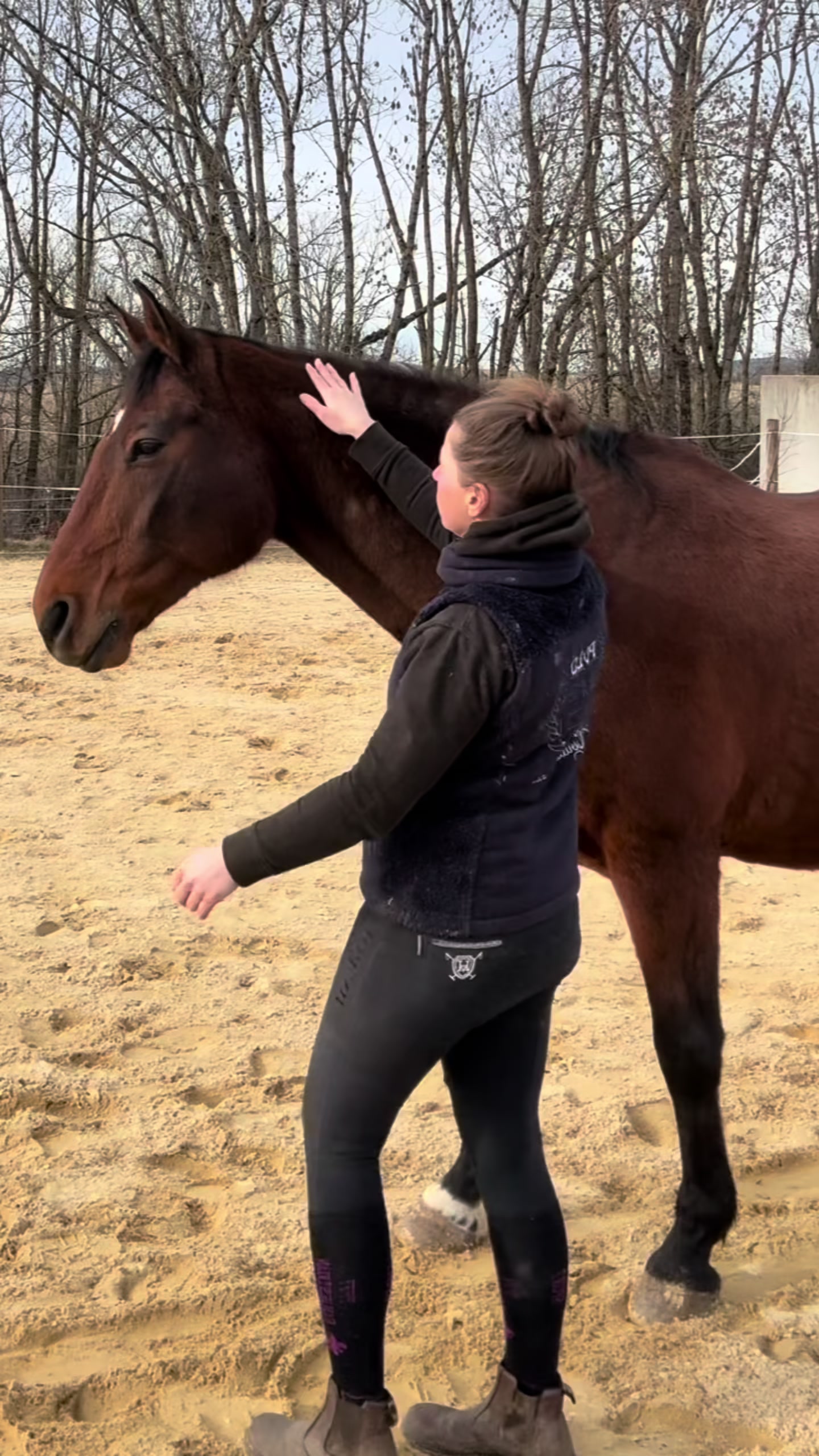 @equine_body_in_balance