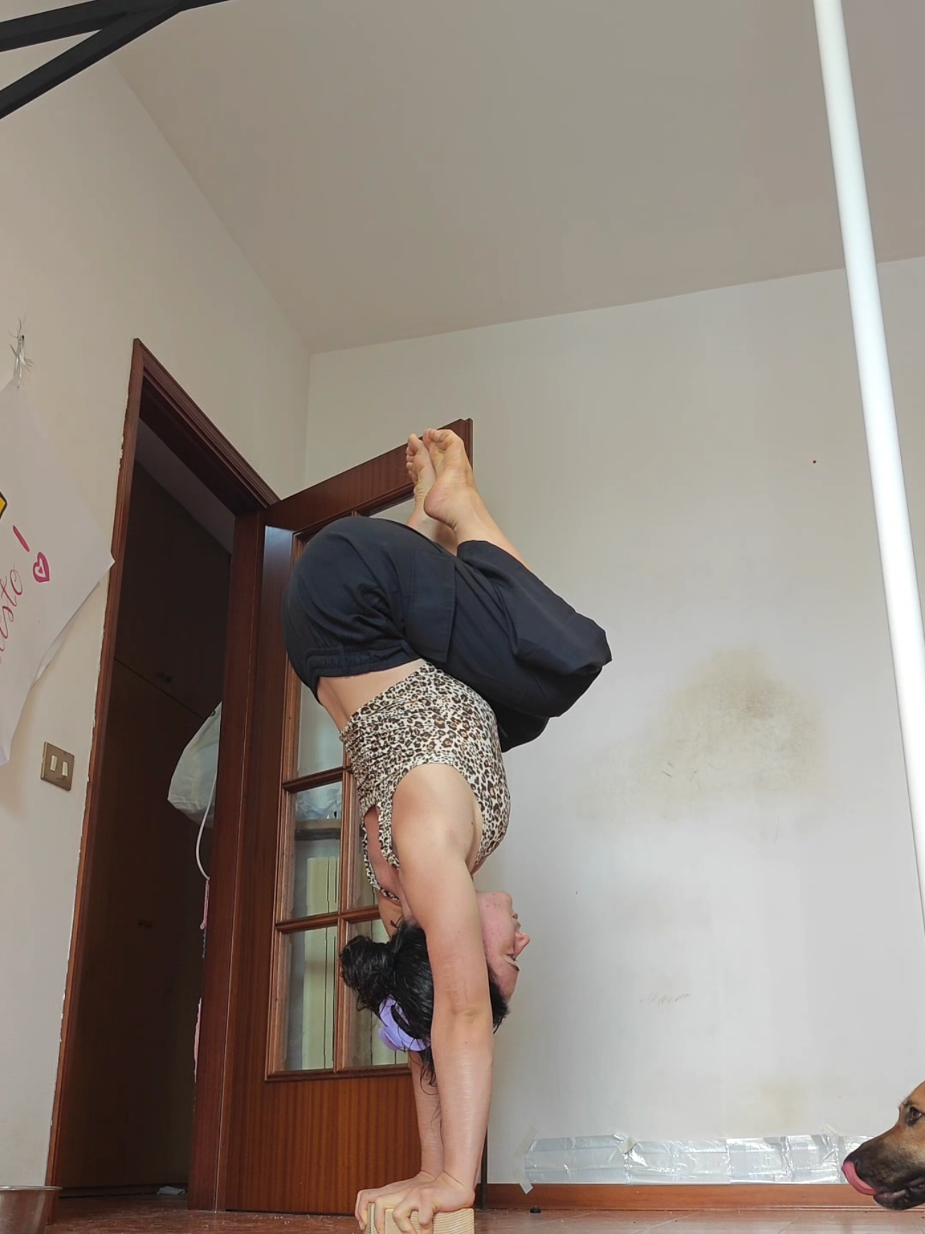 @acrobatic___