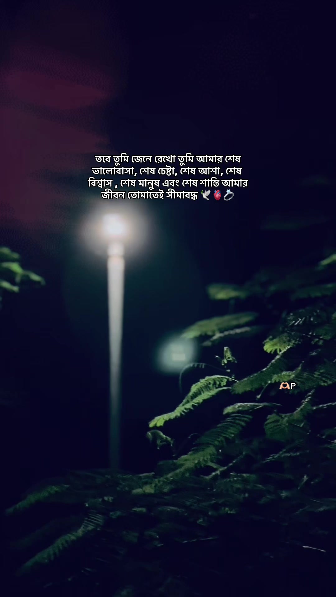 @⚡️Sheikh Rafi Islam💍