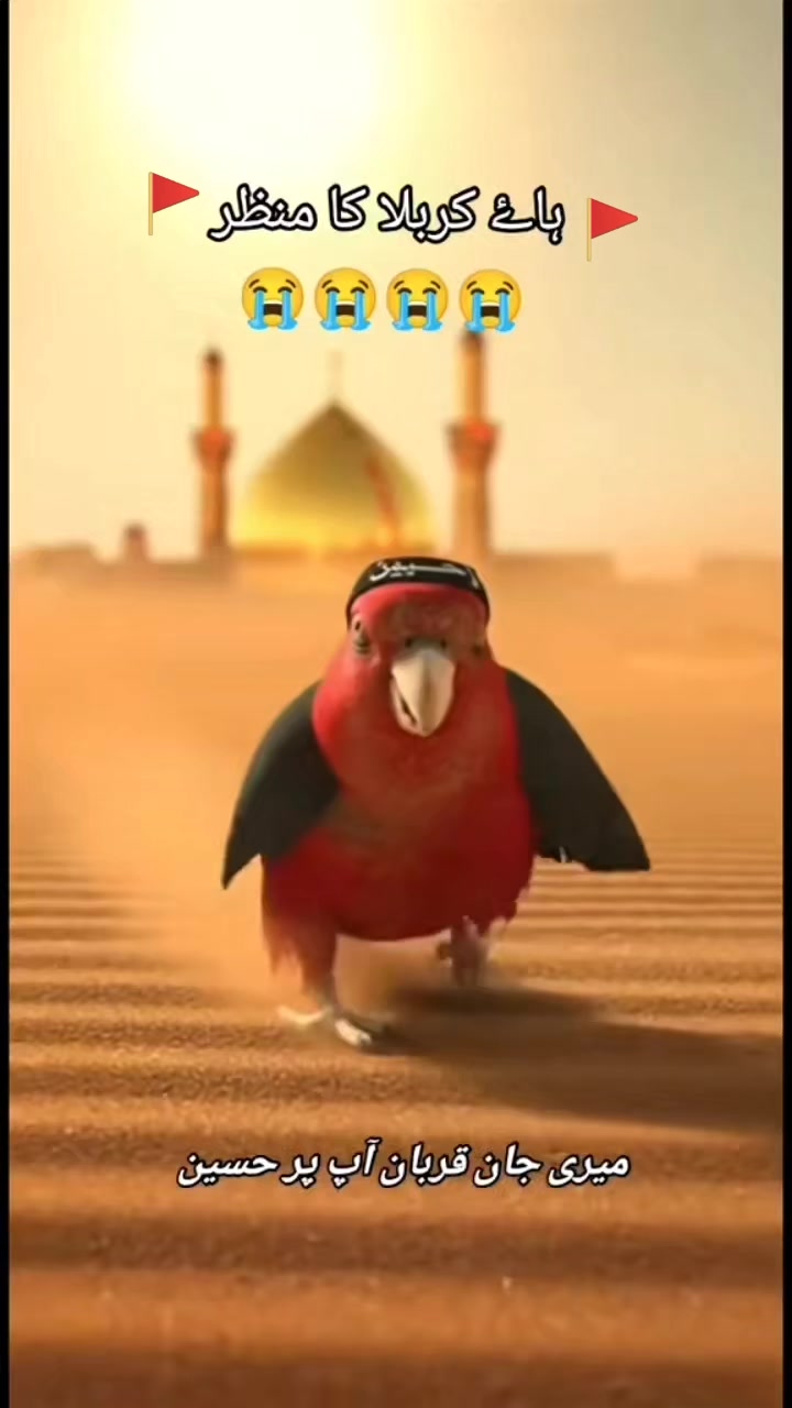 @nish🫵an 🥺Ali😶🌫️313