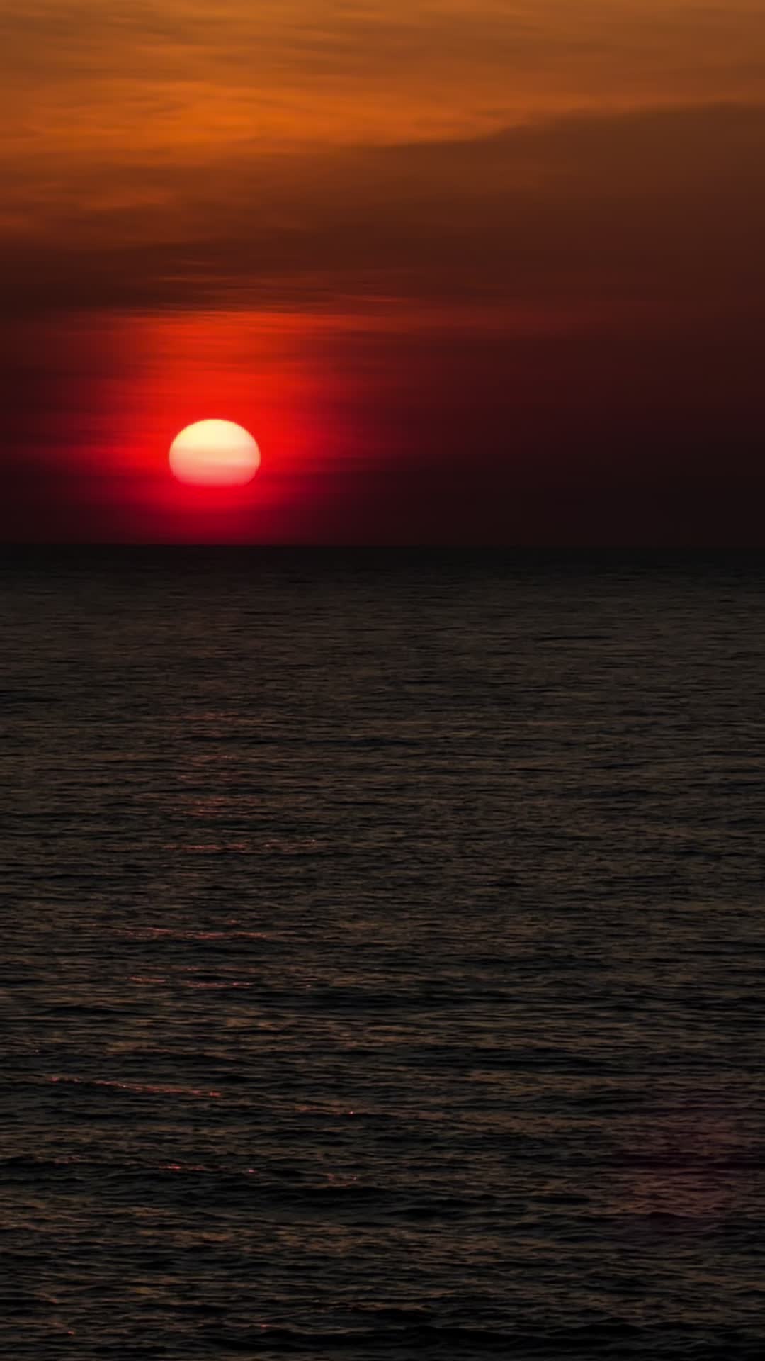 @𝒚𝒂𝒛𝒛𝒚