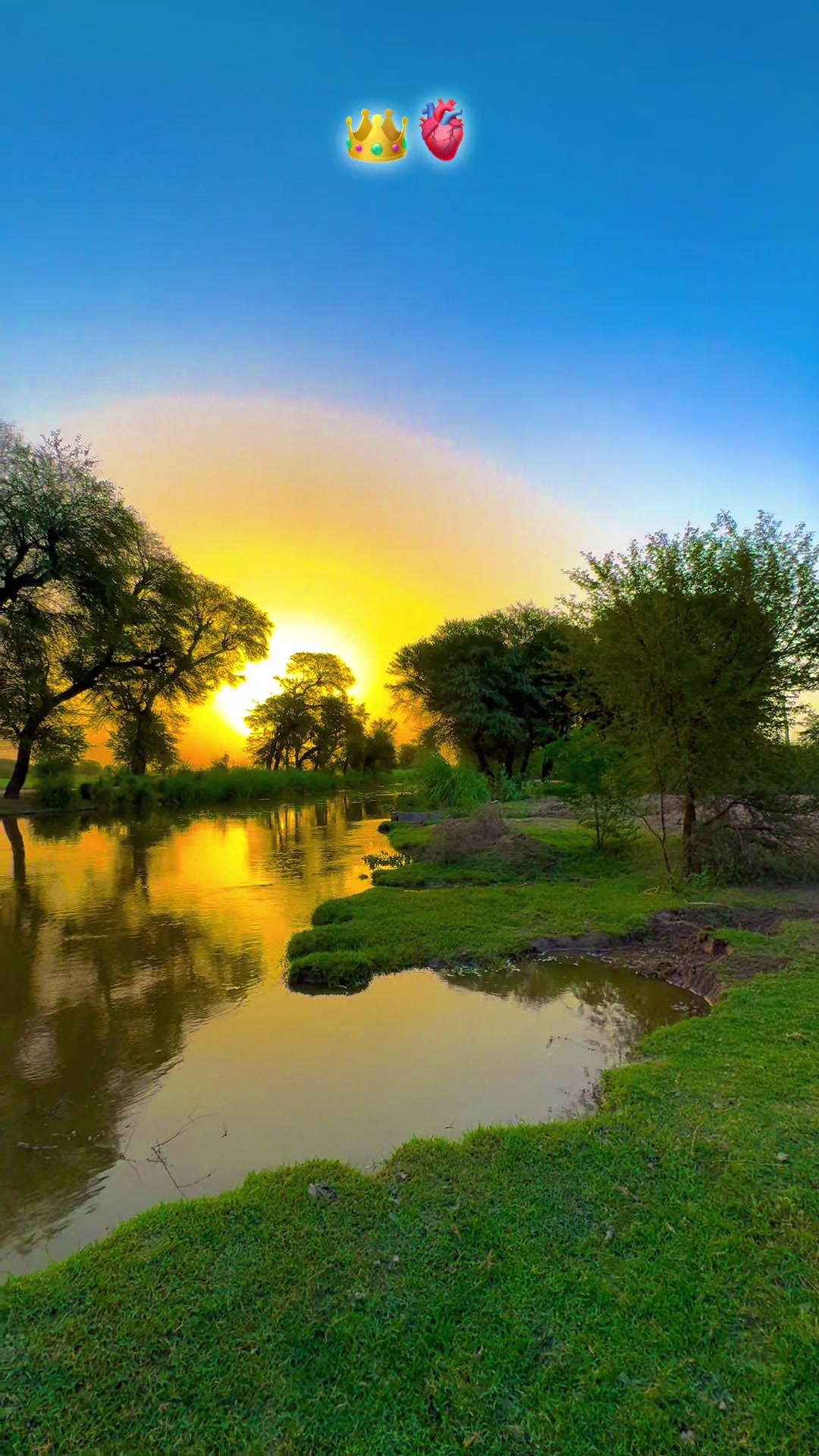 @پنجابی کلچر 🌾🍂