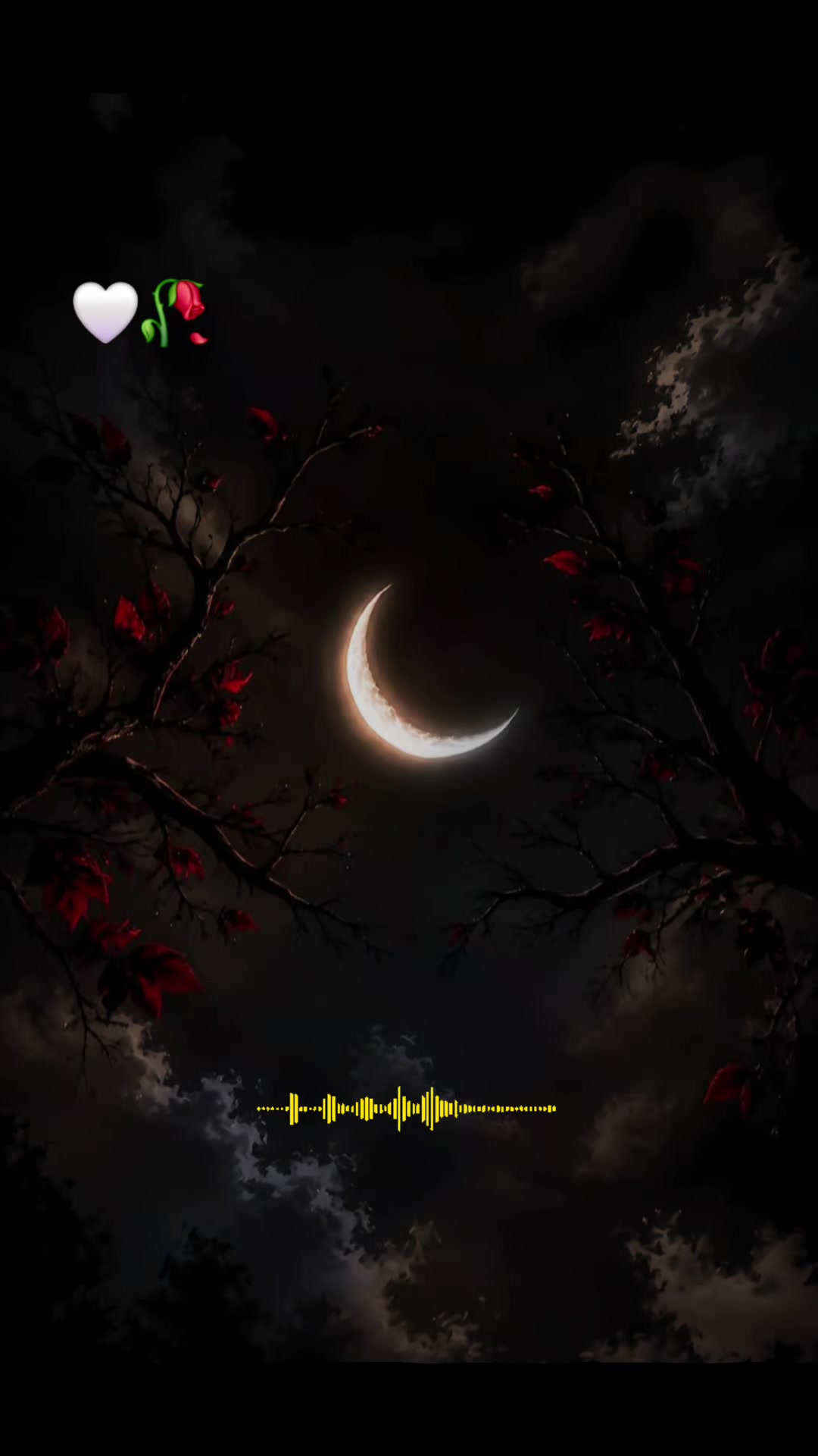 @✨🧚♀️𝑆𝒉𝑖𝑧𝑎💎𝐴🌘💫(◕‿-)✌
