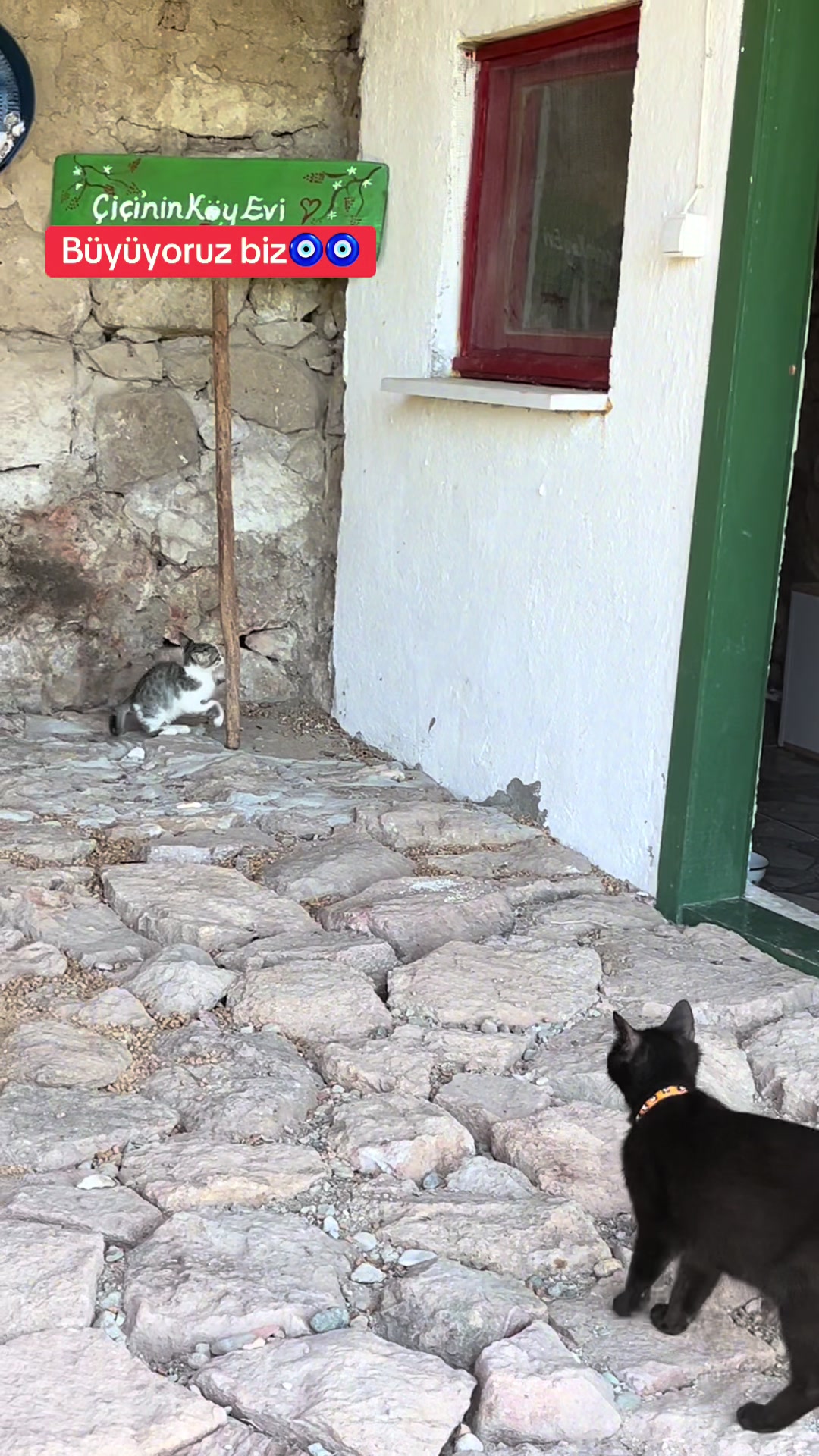 @Çiçinin köy evi