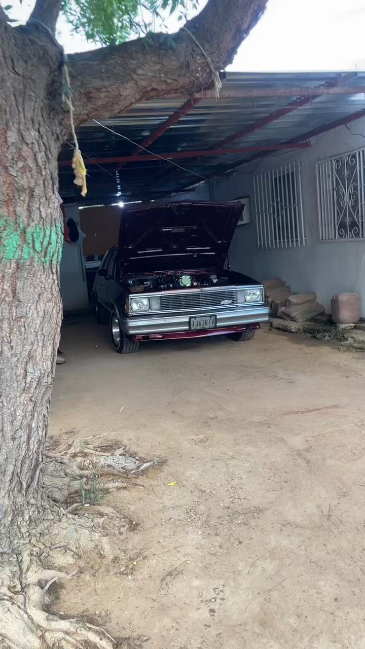 @Araujo ❤️