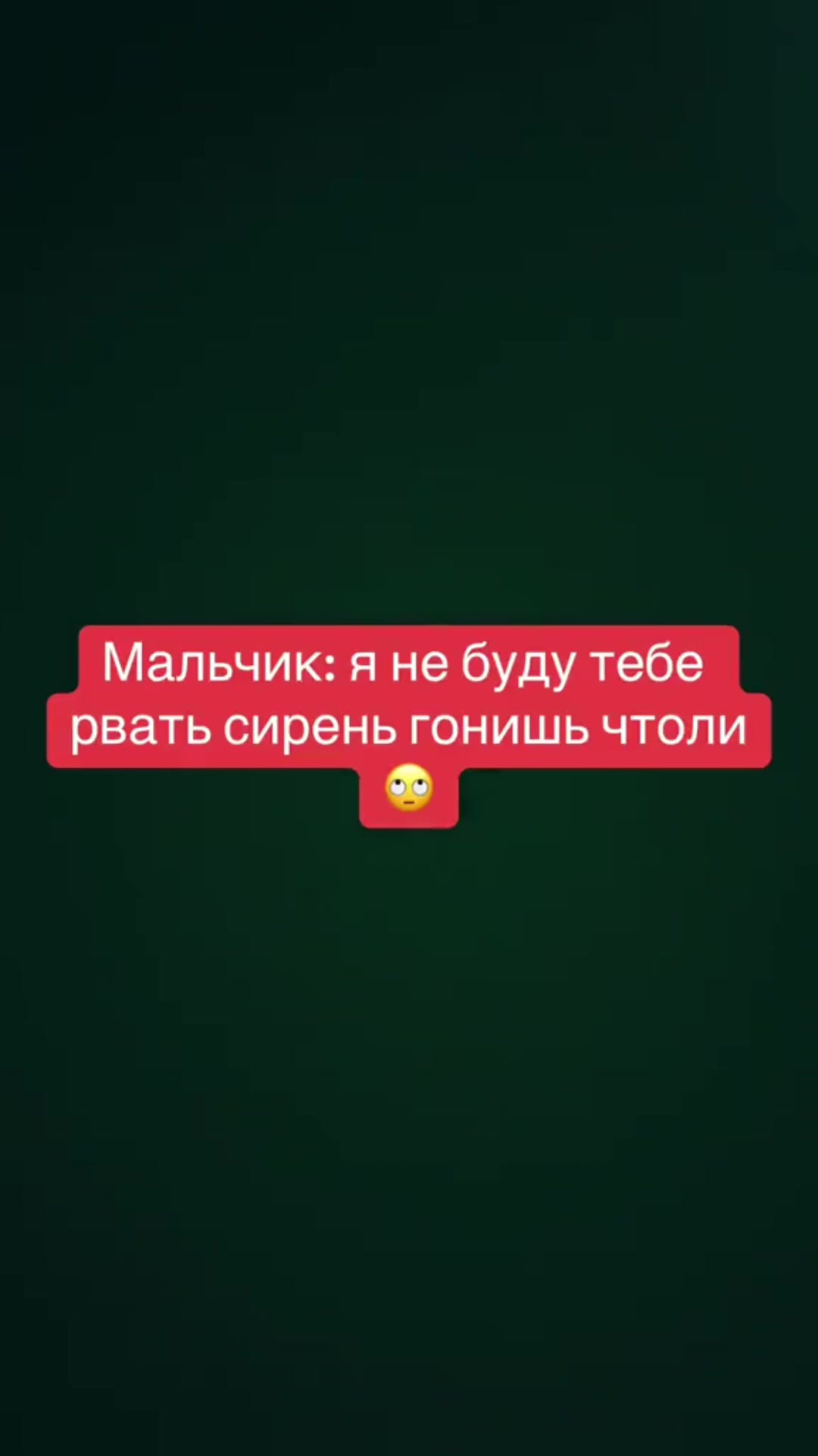 @Дочь Баура☝️