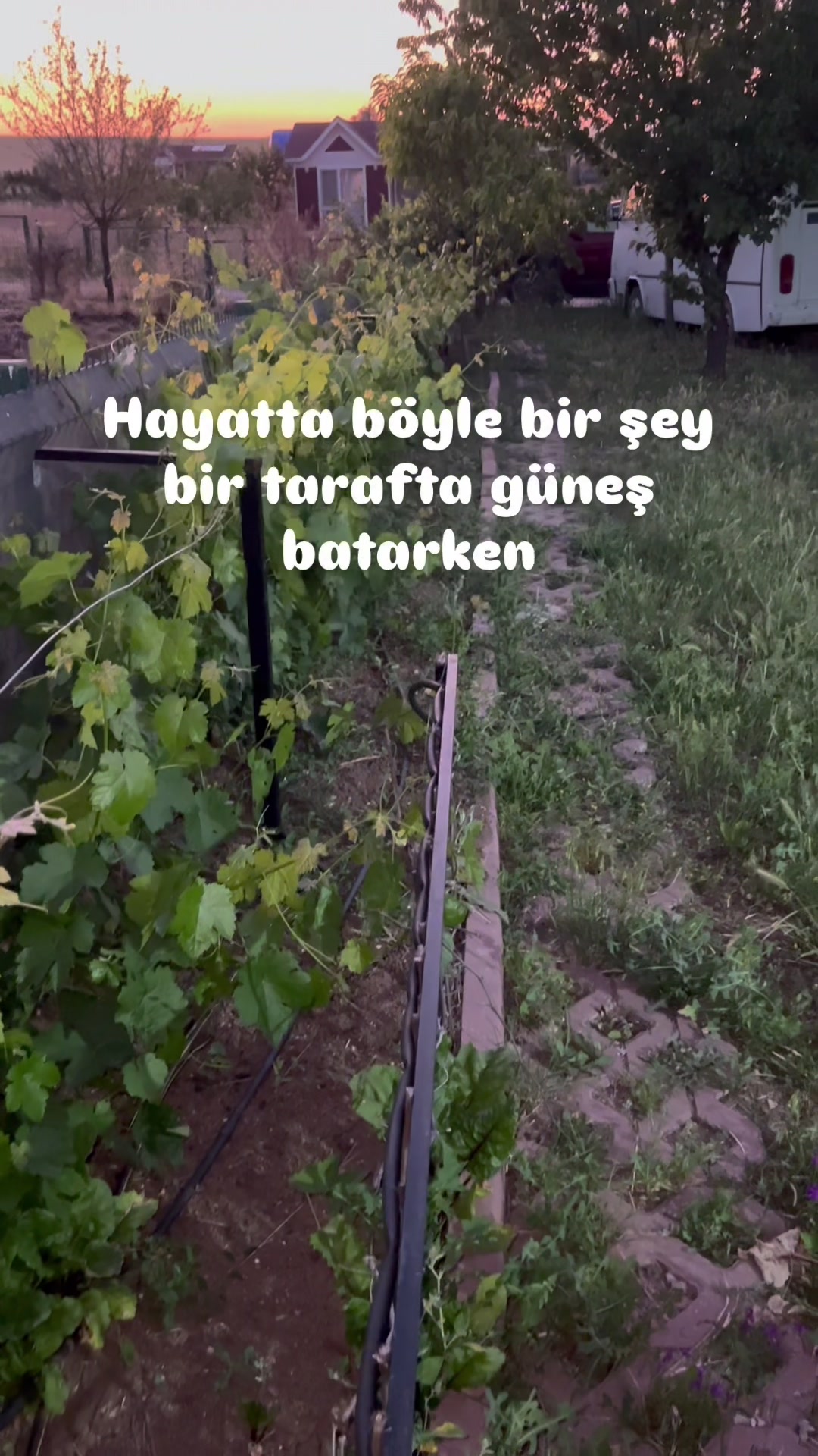 @Yeni Nesil Perma
