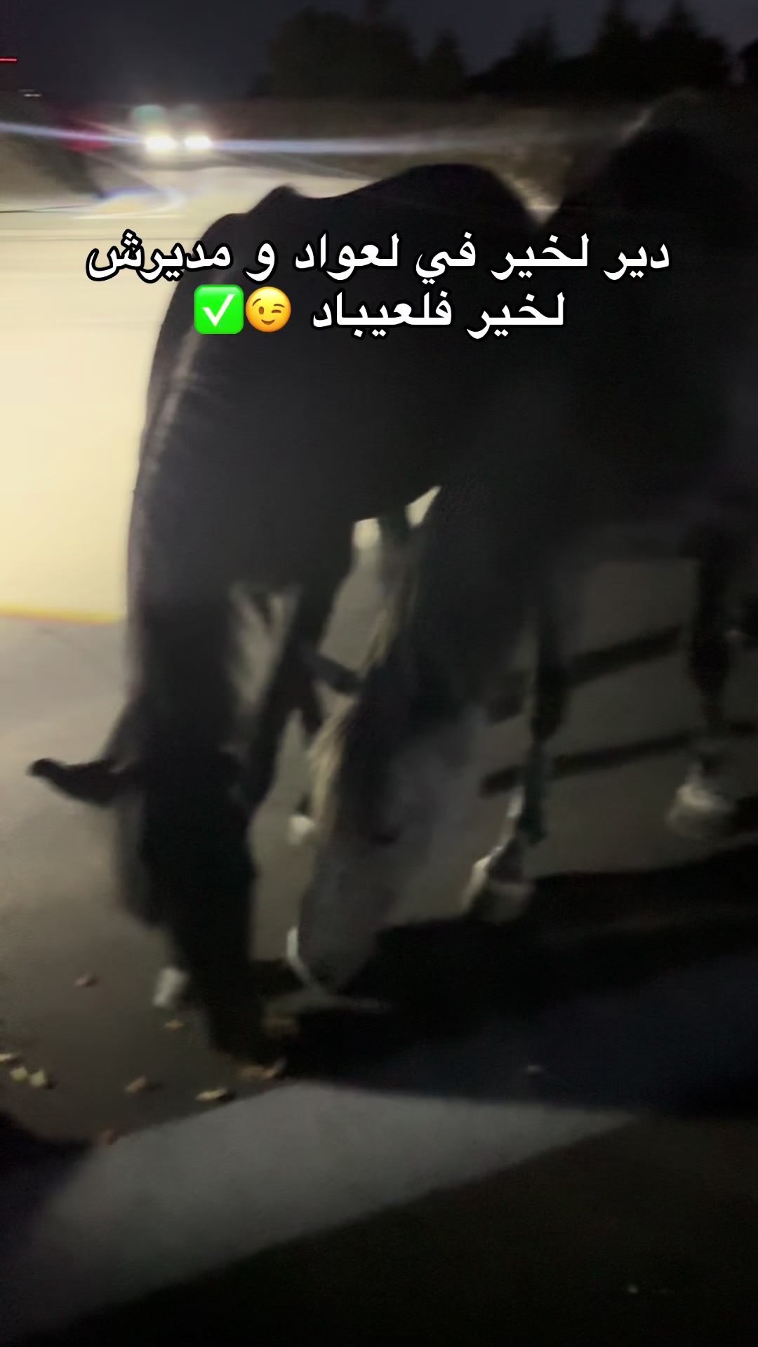 @issam_Zr